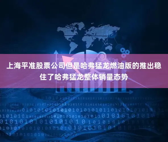 上海平准股票公司但是哈弗猛龙燃油版的推出稳住了哈弗猛龙整体销量态势