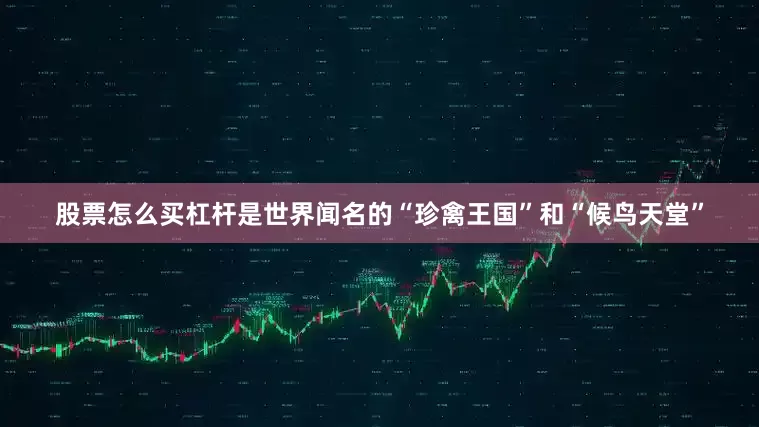 股票怎么买杠杆是世界闻名的“珍禽王国”和“候鸟天堂”