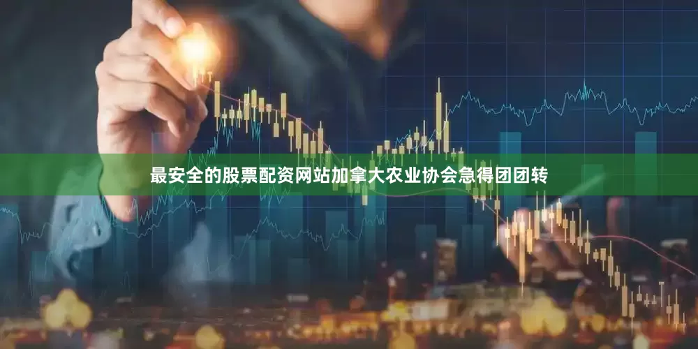 最安全的股票配资网站加拿大农业协会急得团团转
