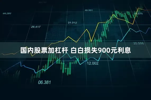 国内股票加杠杆 白白损失900元利息